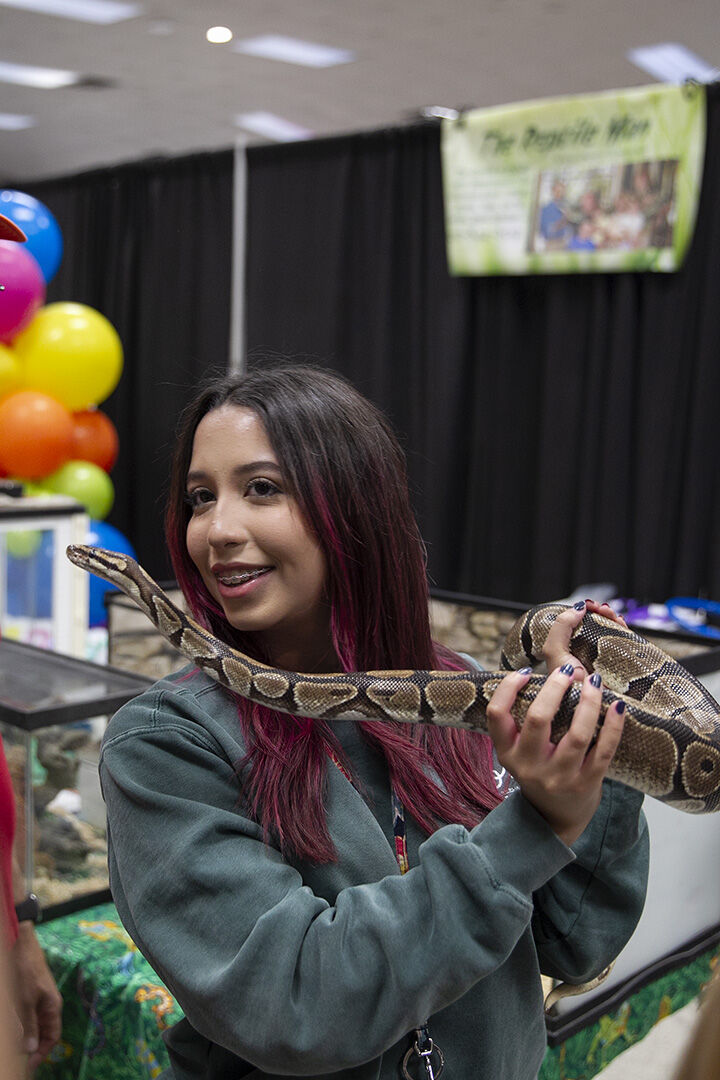 Petfest